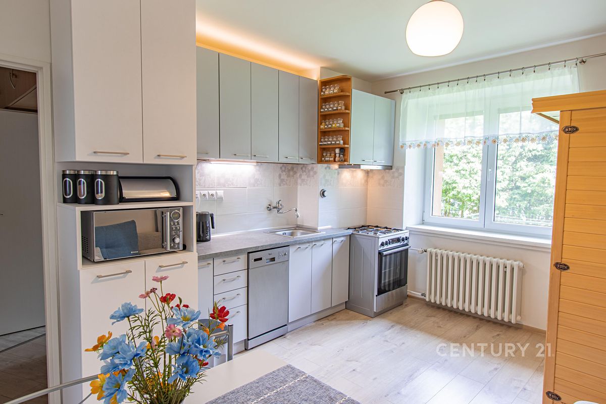 Prodej bytu 1+1 42 m²